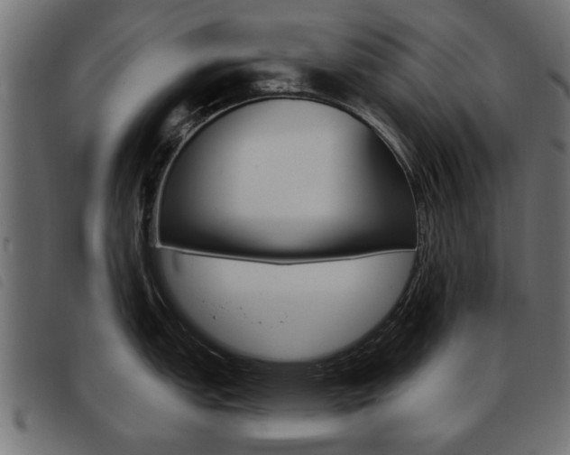 X0000093581151200710150952