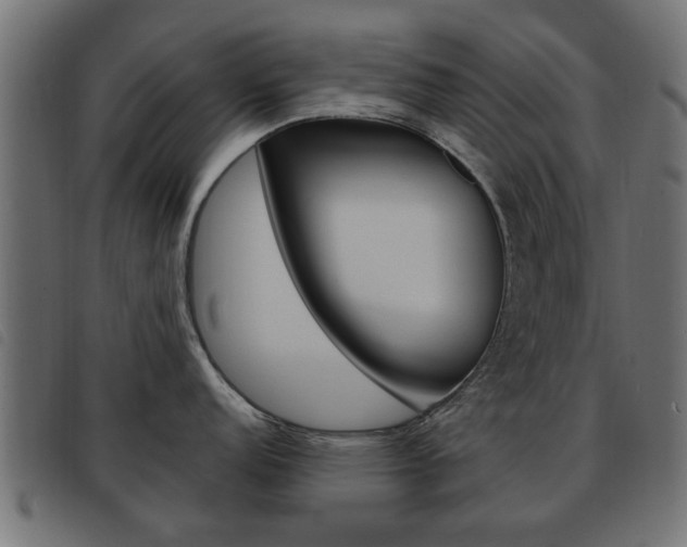 X0000093581152200710150952