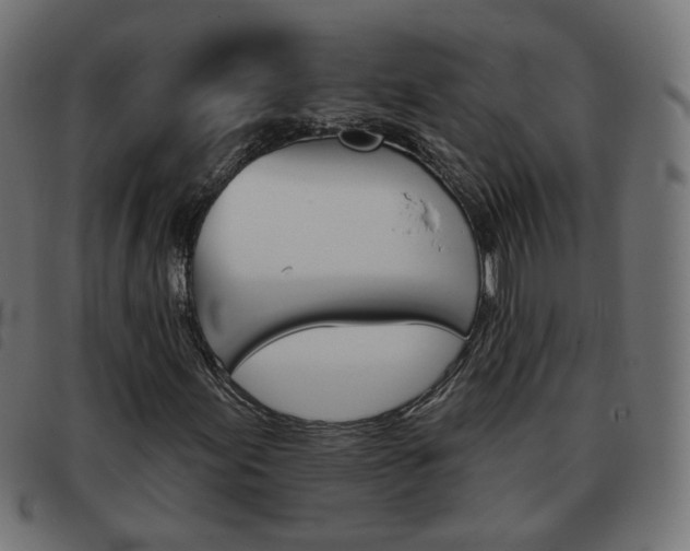X0000093581155200710150951