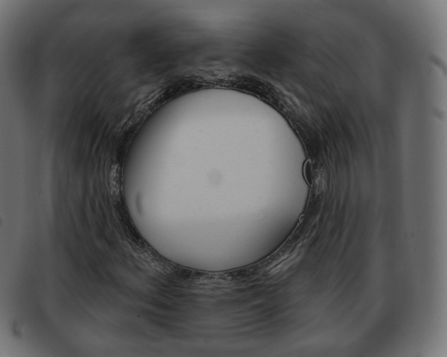 X0000093581156200710150951