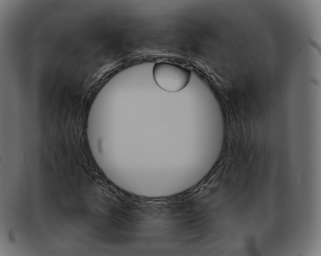 X0000093581157200710150951
