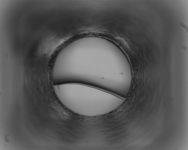 X0000093581159200710150951