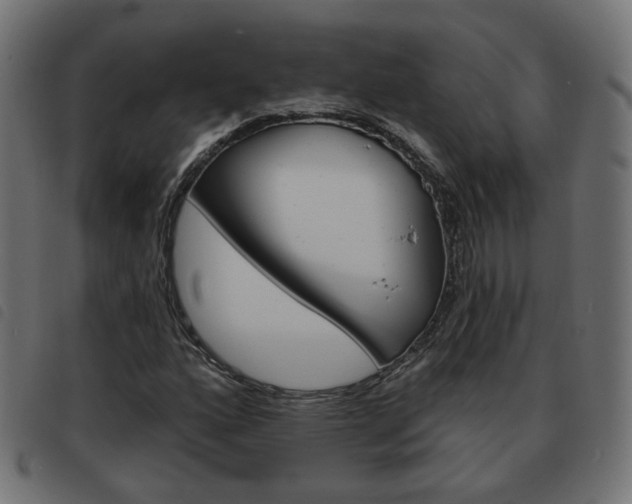 X0000093581160200710150951