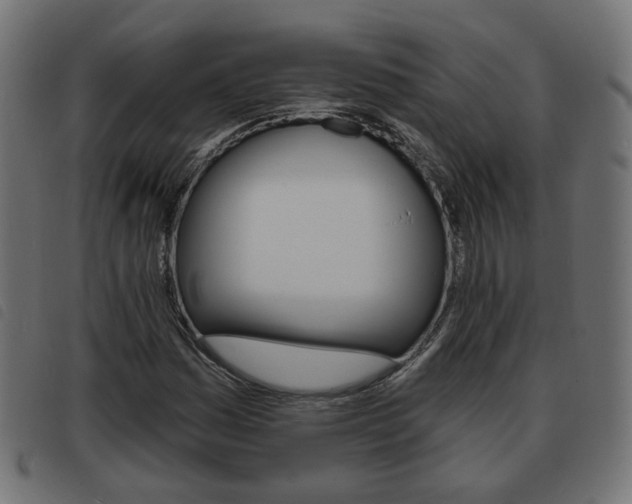 X0000093581161200710150951
