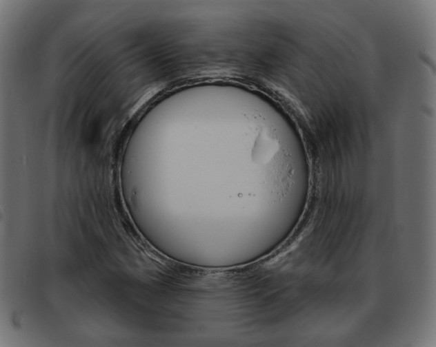 X0000093581162200710150951