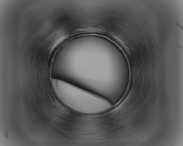 X0000093581163200710150951