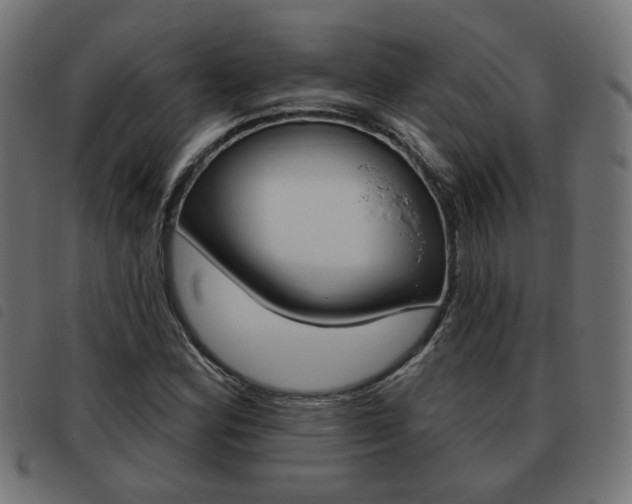 X0000093581164200710150951