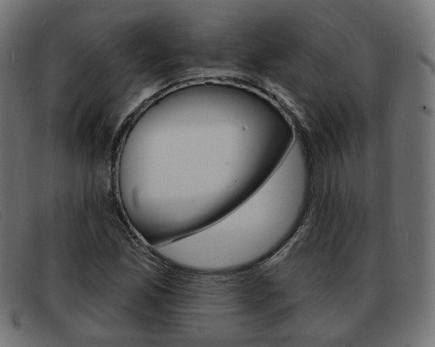 X0000093581165200710150951