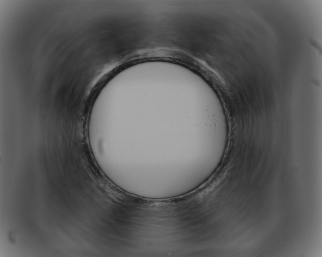 X0000093581166200710150951