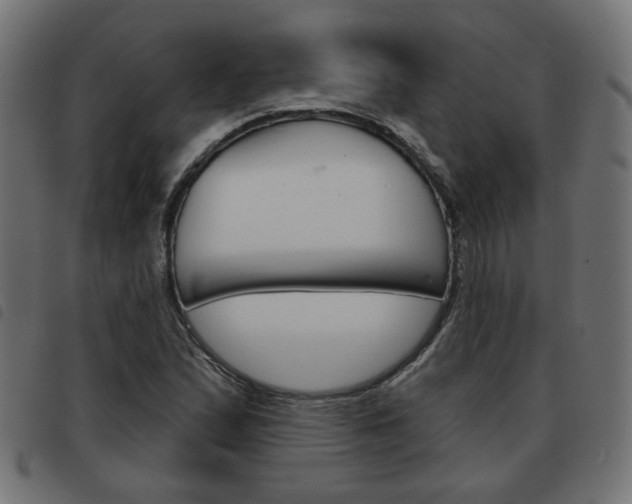 X0000093581167200710150951