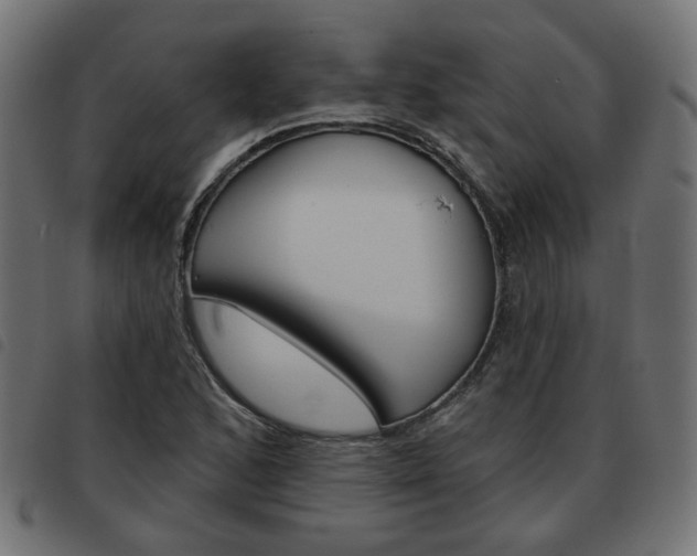 X0000093581168200710150951