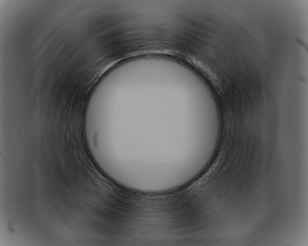 X0000093581169200710150951