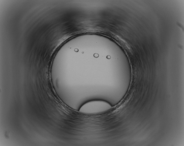 X0000093581170200710150951