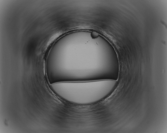 X0000093581171200710150951