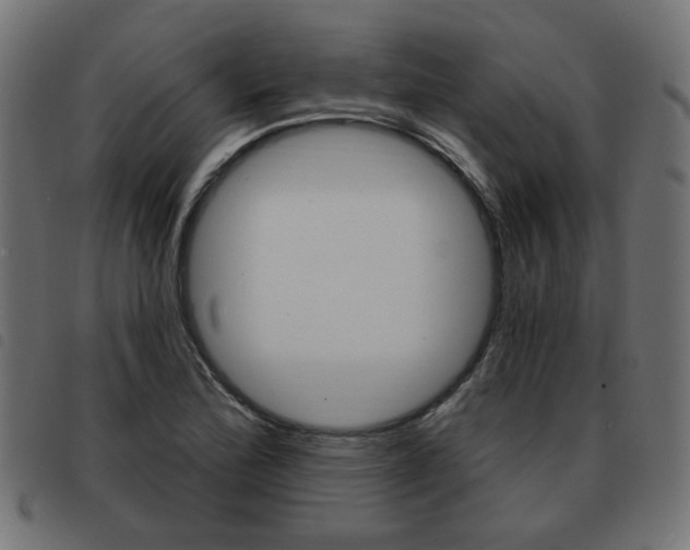 X0000093581172200710150951