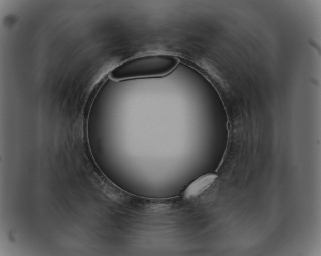 X0000093581173200710150951
