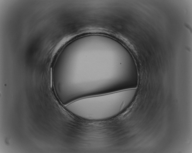 X0000093581175200710150951