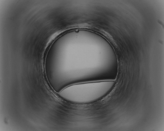 X0000093581176200710150951