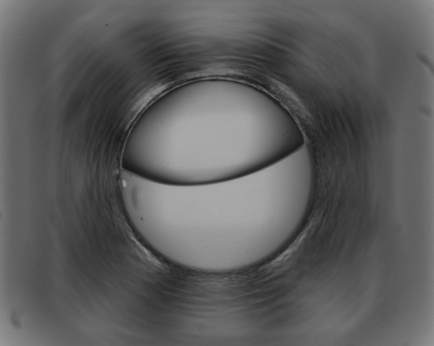 X0000093581177200710150951