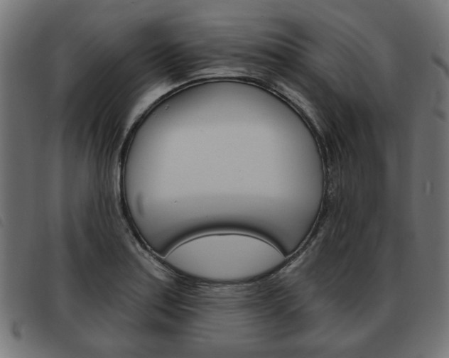 X0000093581179200710150951