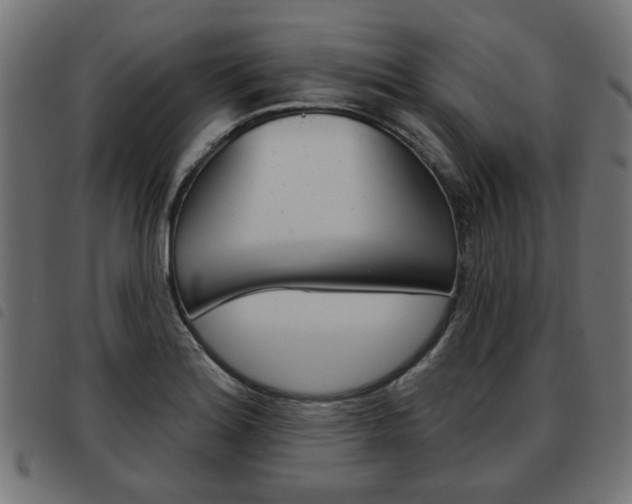 X0000093581180200710150951
