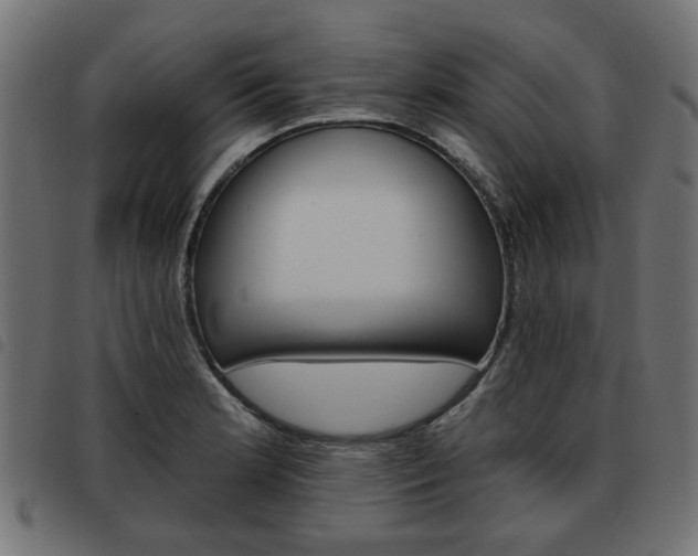 X0000093581181200710150951