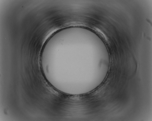 X0000093581182200710150951