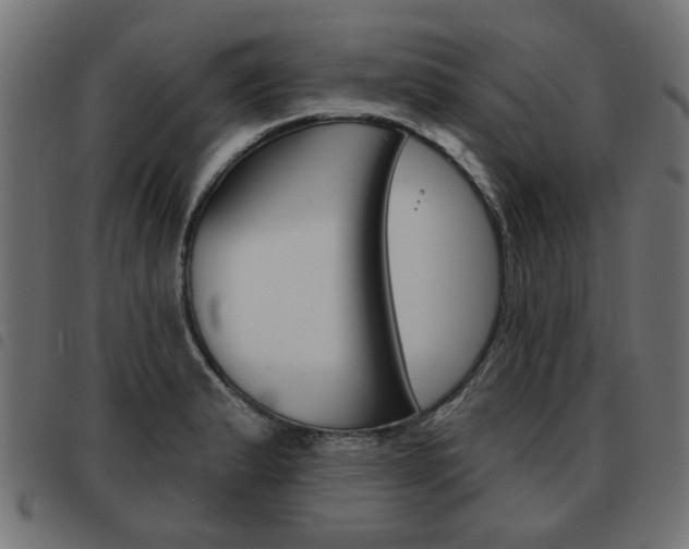 X0000093581183200710150951