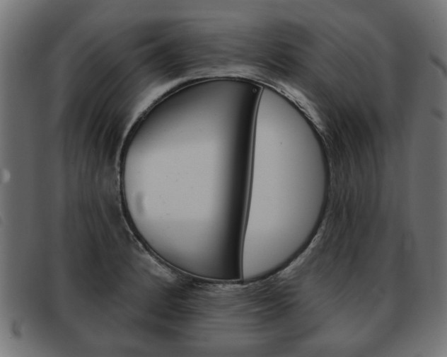 X0000093581184200710150951