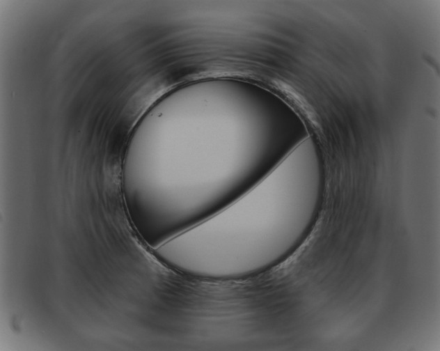 X0000093581185200710150951