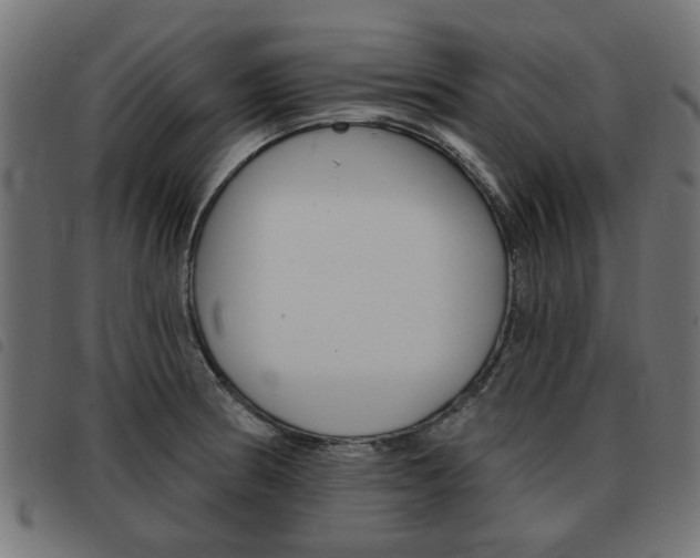 X0000093581186200710150951