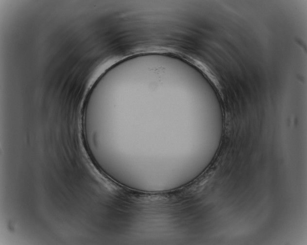 X0000093581187200710150951