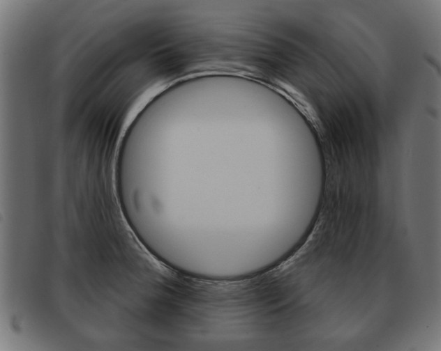 X0000093581188200710150951