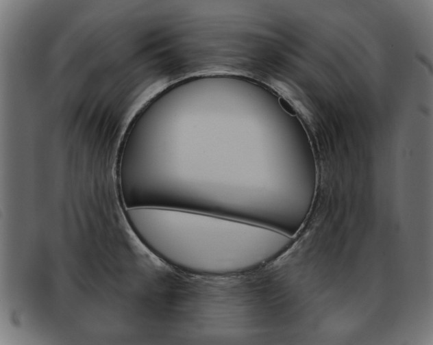 X0000093581189200710150951