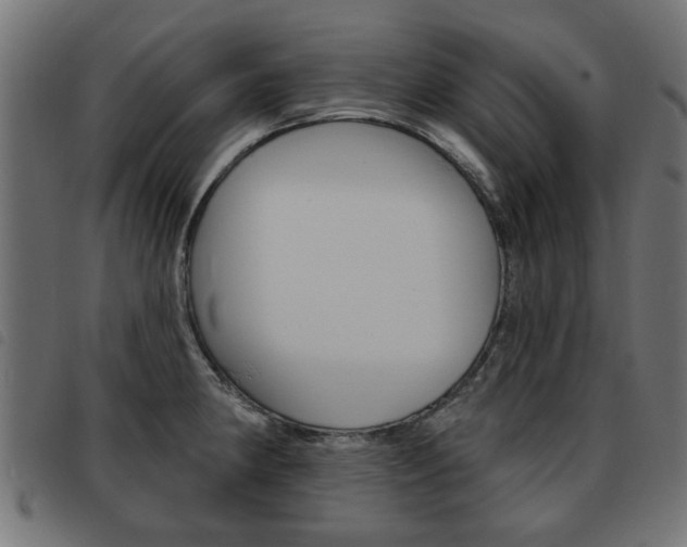 X0000093581190200710150951