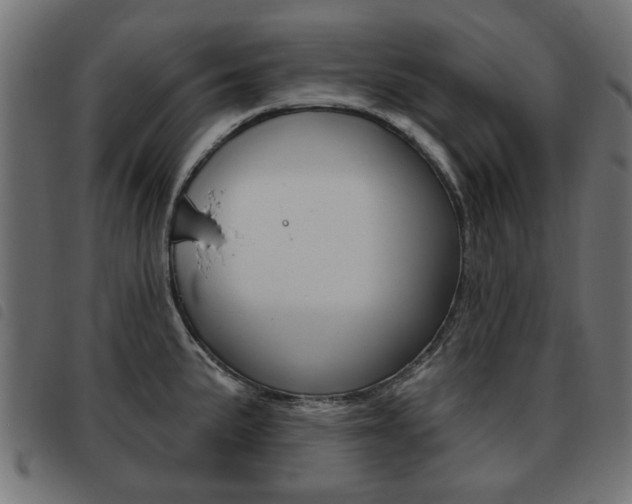 X0000093581191200710150951