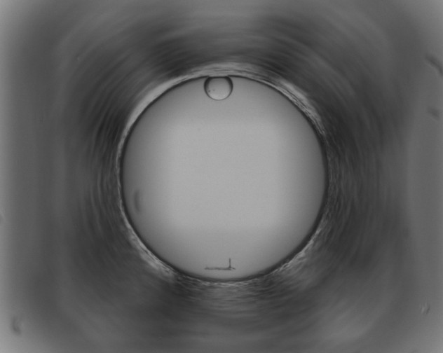 X0000093581192200710150951