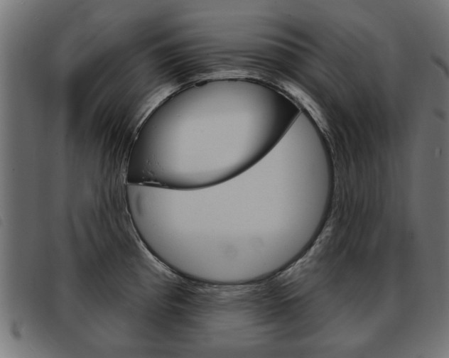 X0000093581193200710150951