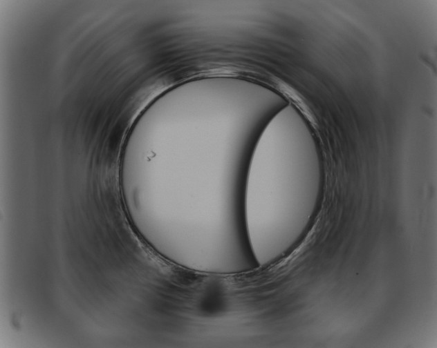 X0000093581194200710150951
