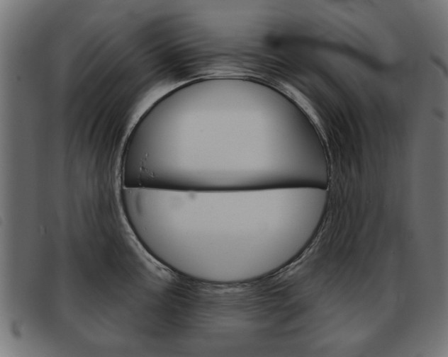 X0000093581195200710150951