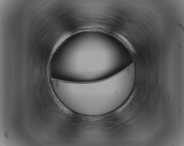 X0000093581196200710150951