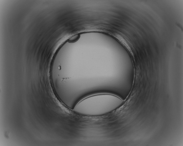 X0000093581197200710150951