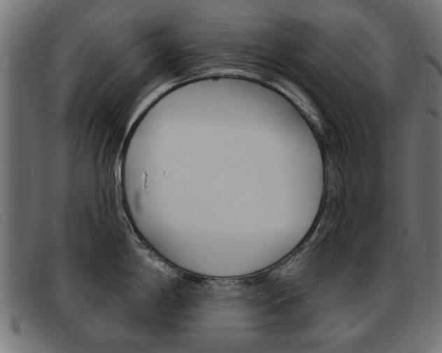 X0000093581198200710150951