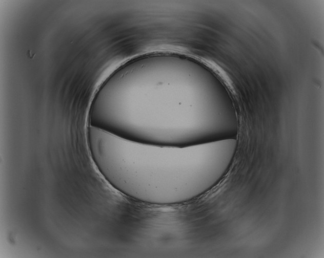 X0000093581199200710150951