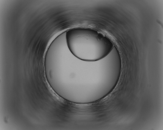 X0000093581200200710150951