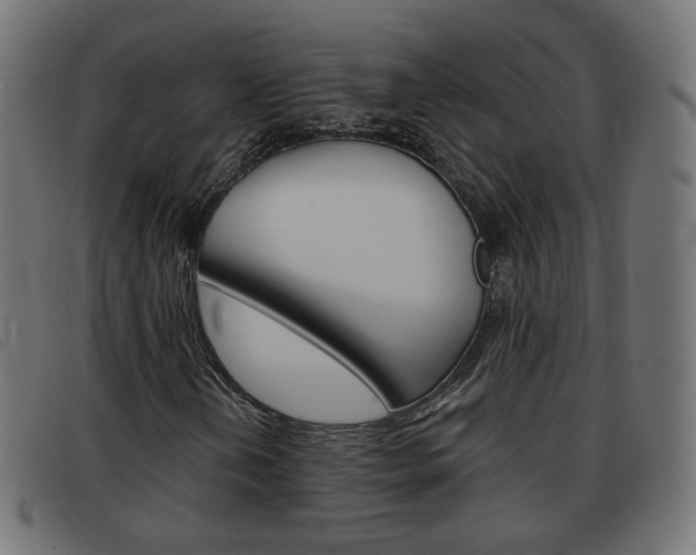 X0000093581202200710150950