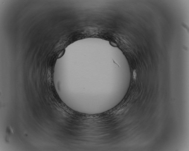 X0000093581203200710150950