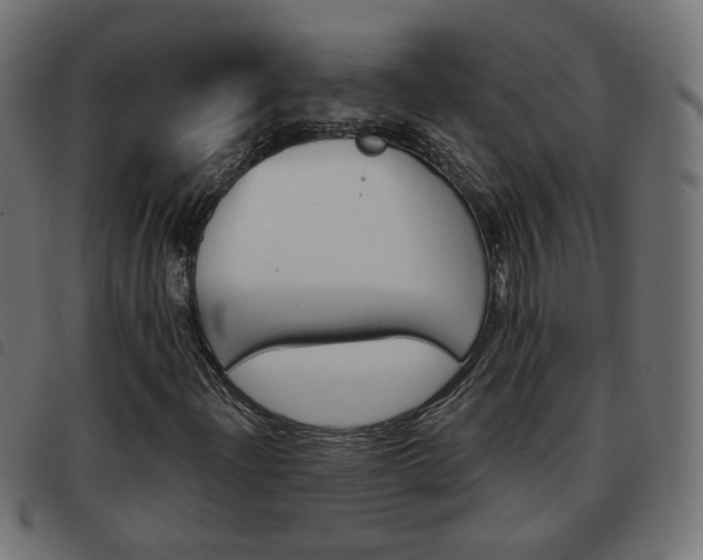 X0000093581204200710150950