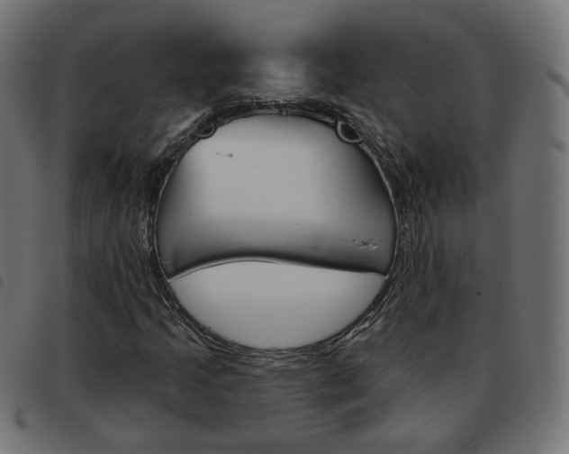 X0000093581205200710150950