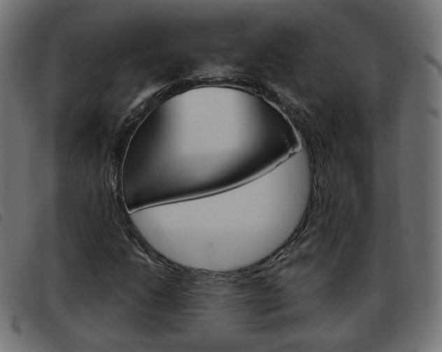 X0000093581206200710150950